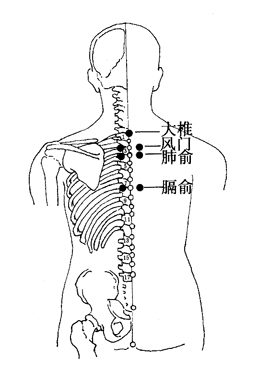 图6-3-1大椎、风门、肺俞、膈俞