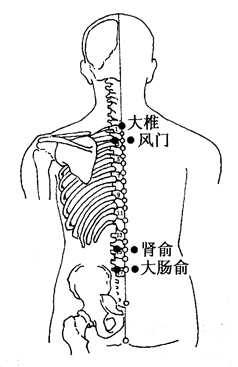 图3-7-1大椎、风门、肾俞、大肠俞